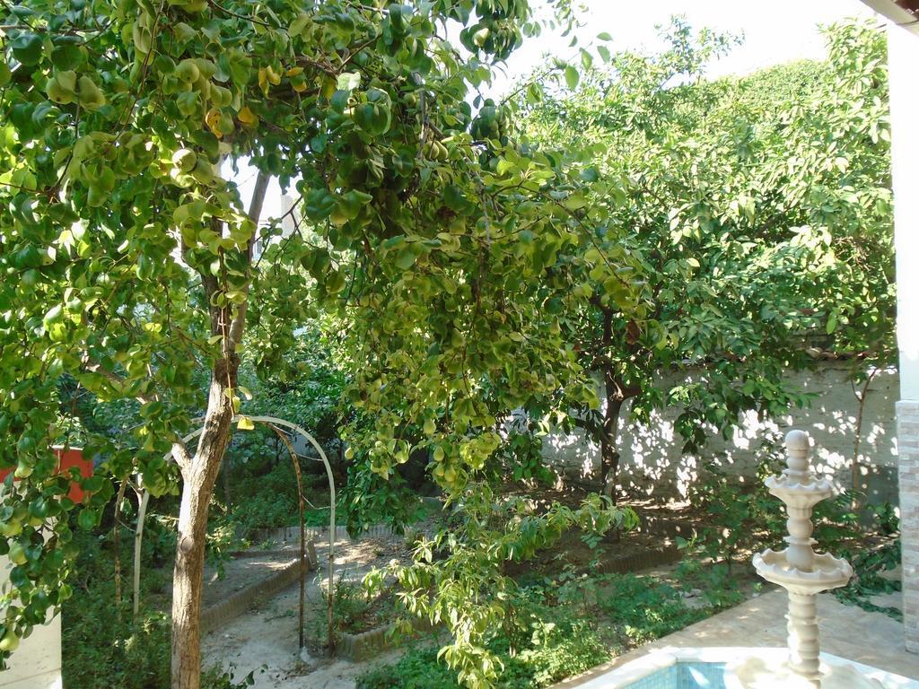 Hostel Lotus Garden