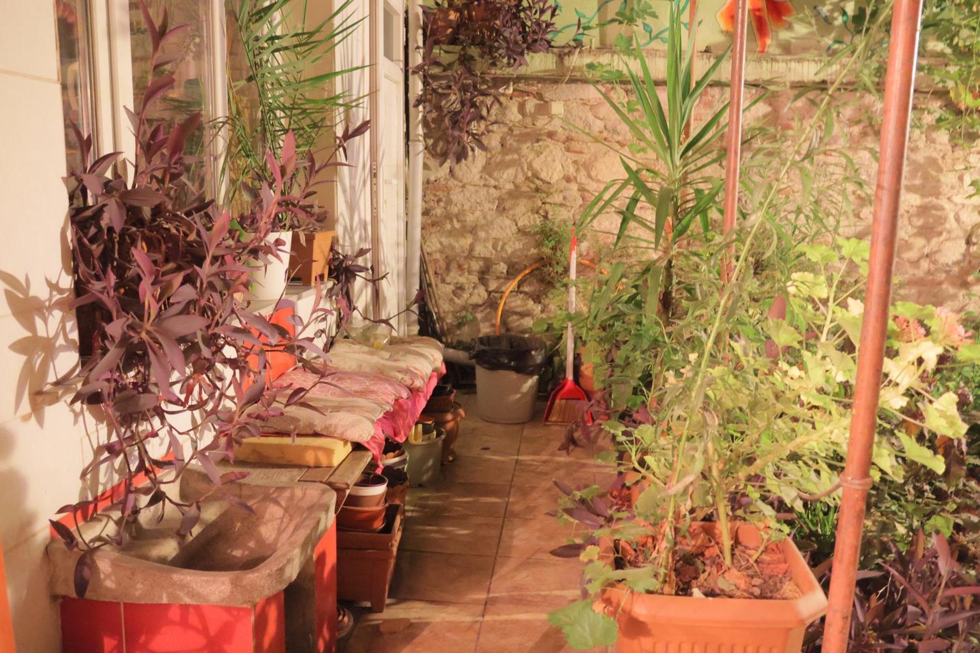 Lotus Garden İzmir